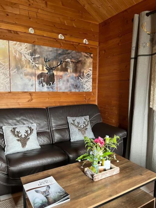 Chalet 3 Etoiles A Gerardmer. Exterior foto
