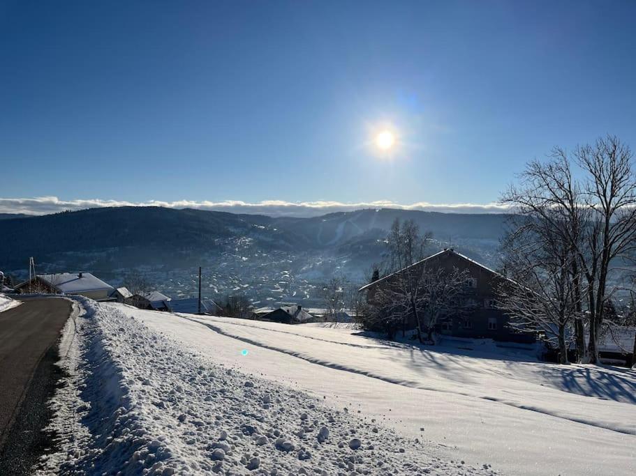 Chalet 3 Etoiles A Gerardmer. Exterior foto